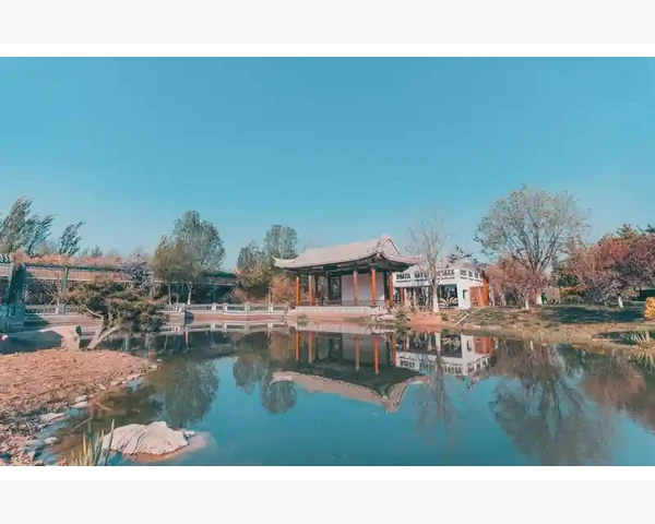 冰糖是不是化痰的呀