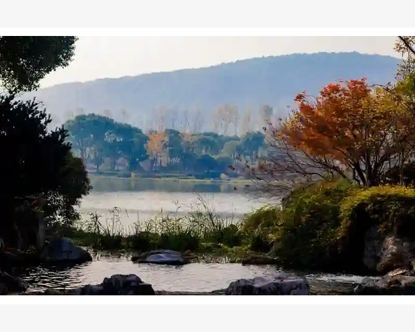 夏季健康调养，中药助你度过炎热季节