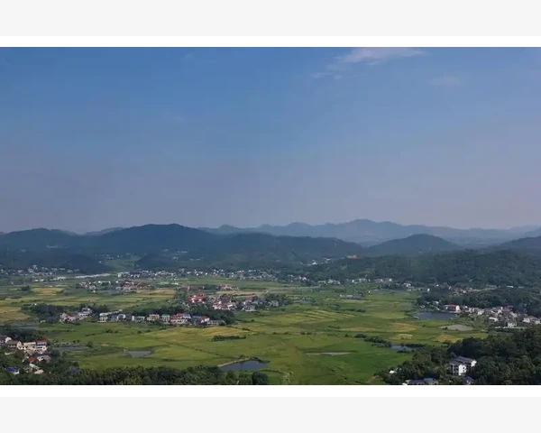 夏季健康，中医必知！