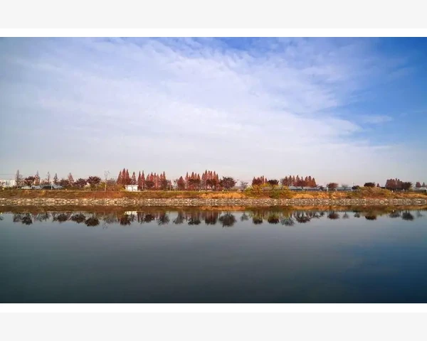 气血不足，精神失常：中医角度解读身体与心理的关系